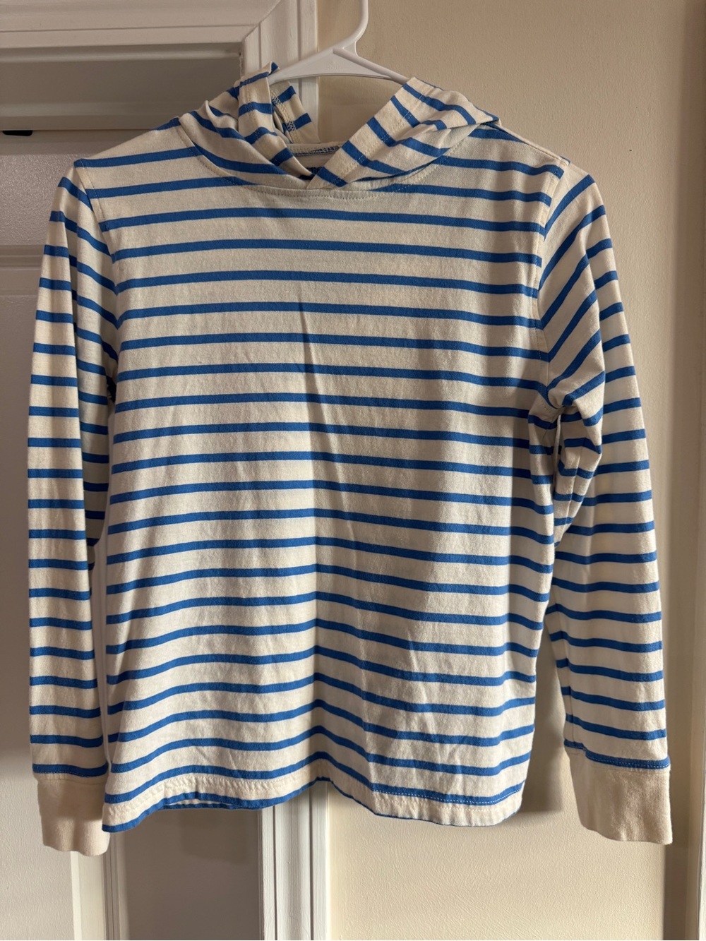 Crewcuts Blue and White Striped Hooded Long-Sleeve Top